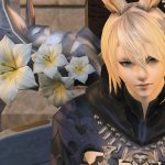 アルカディア零式ライトヘビー級踏破！