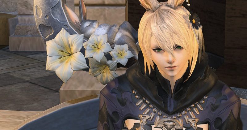 アルカディア零式ライトヘビー級踏破！